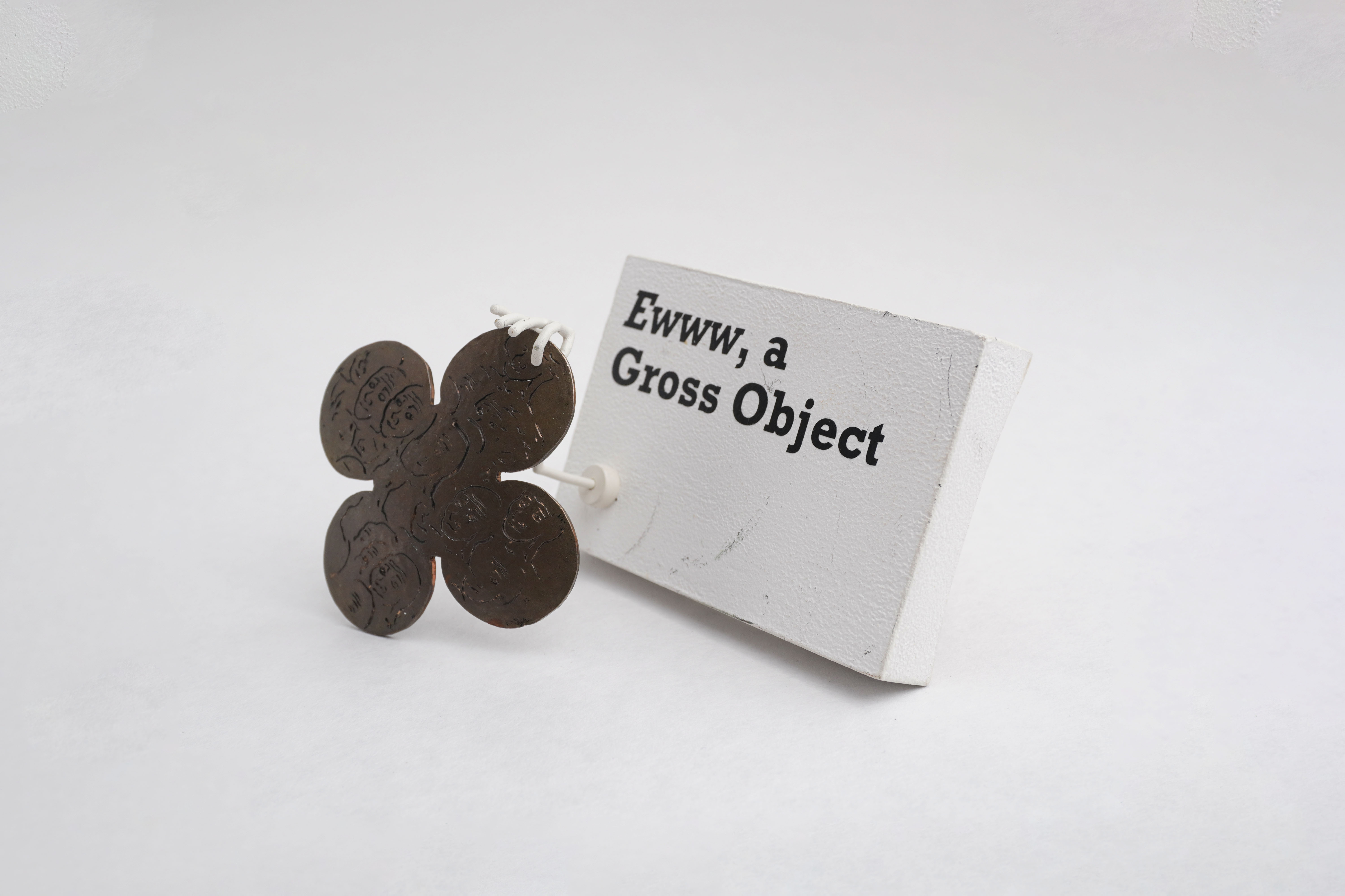 Ewww, A Gross Object!